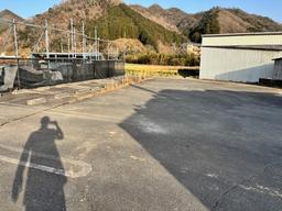 IMG_8981.jpeg