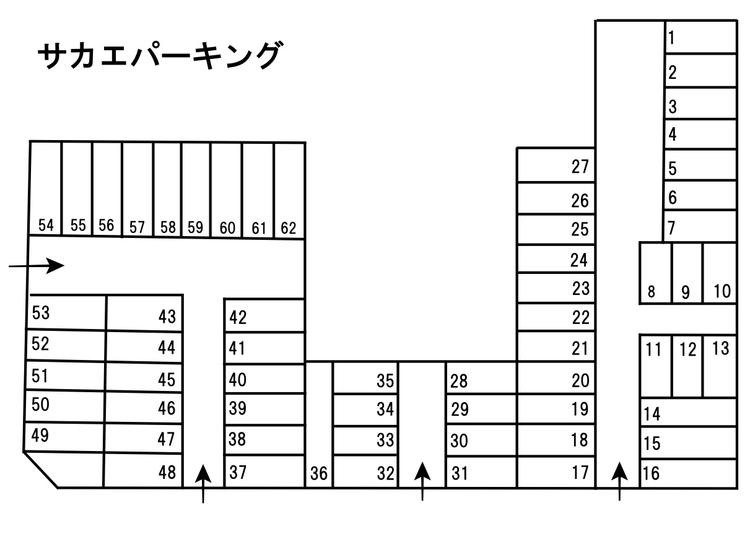 3270.jpg