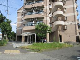 IMG_5823.JPG