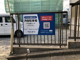IMG_3535.jpeg