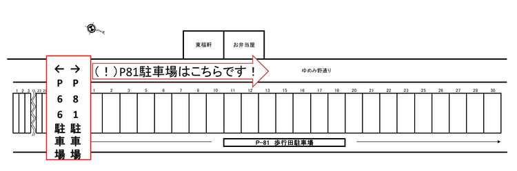 P-81.png