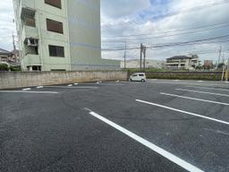 IMG_6418.jpg