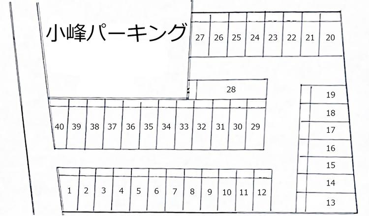 3230.jpg