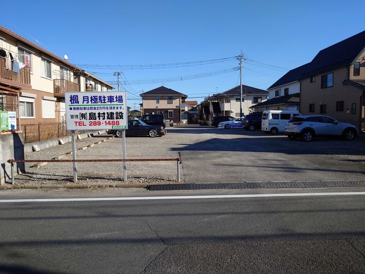 楓.JPG